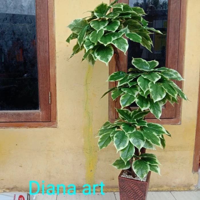 pohon bonsai#pohon sinfu#pohon plastik/tanaman palsu