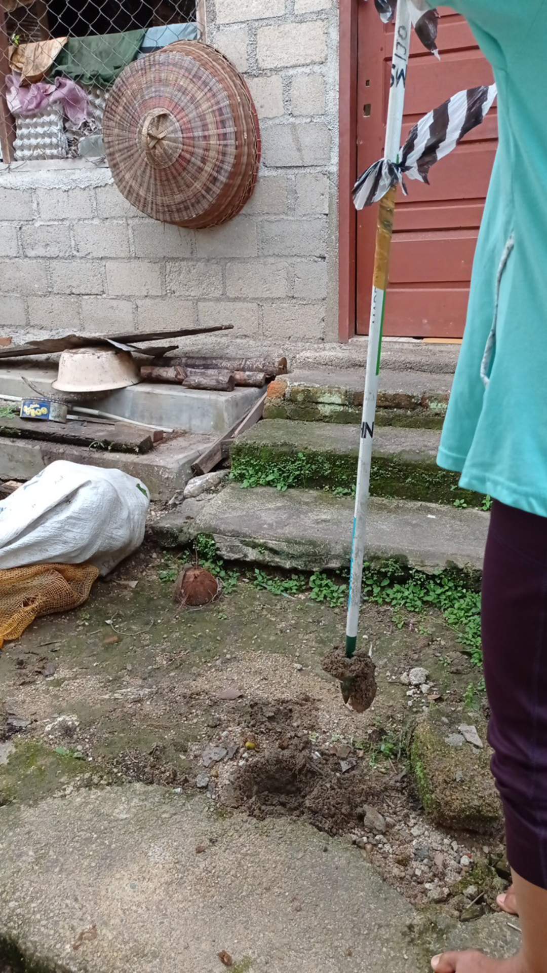Termurah Bor Biopori