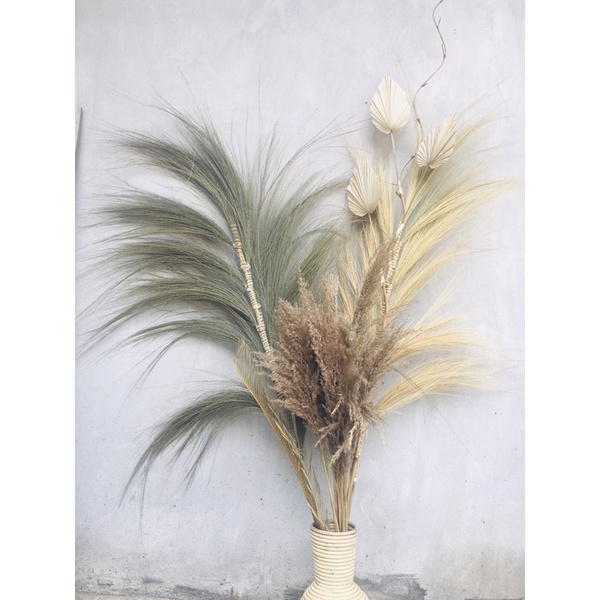 Daun palem kering palem kering pampas paket hemat 04