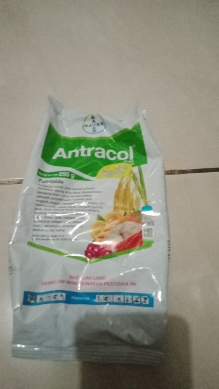 Antracol 250gr