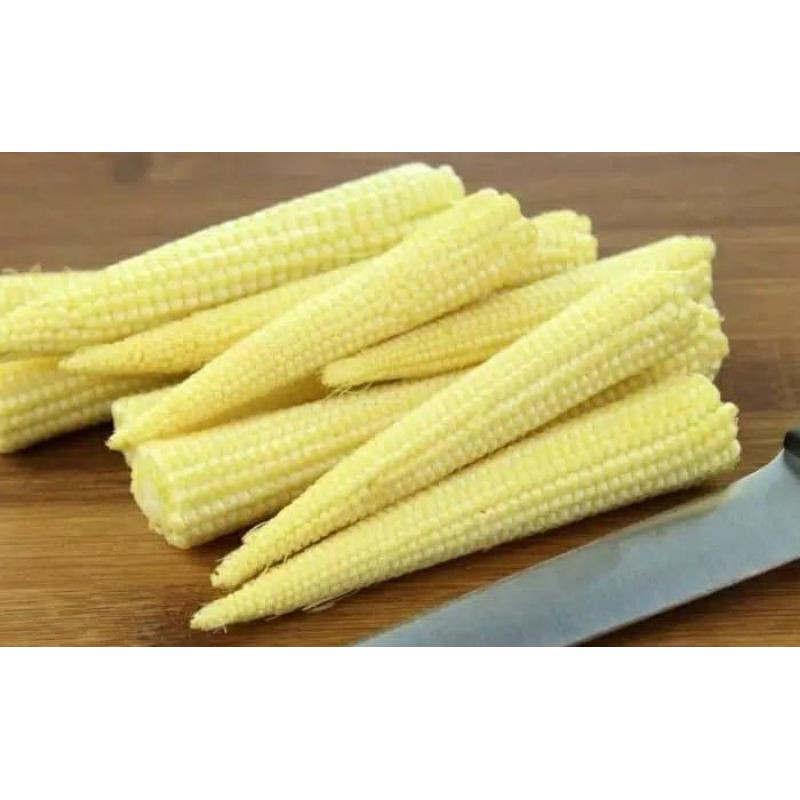 

jagung semi/jagung muda 500grm