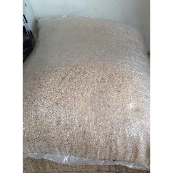 pasir Bali halus aquarium aquascape ikan hias