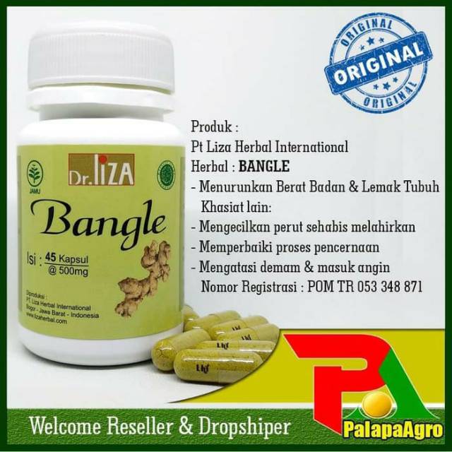 Obat herbal pelangsing tubuh bangle