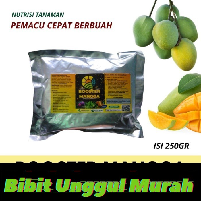 Pupuk Organik Booster Mangga Pemicu Agar Cepat Berbuah Lebat