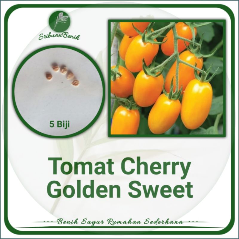 ± 5 Biji Benih Tomat Cherry Golden Sweet Benih Tomat Hias