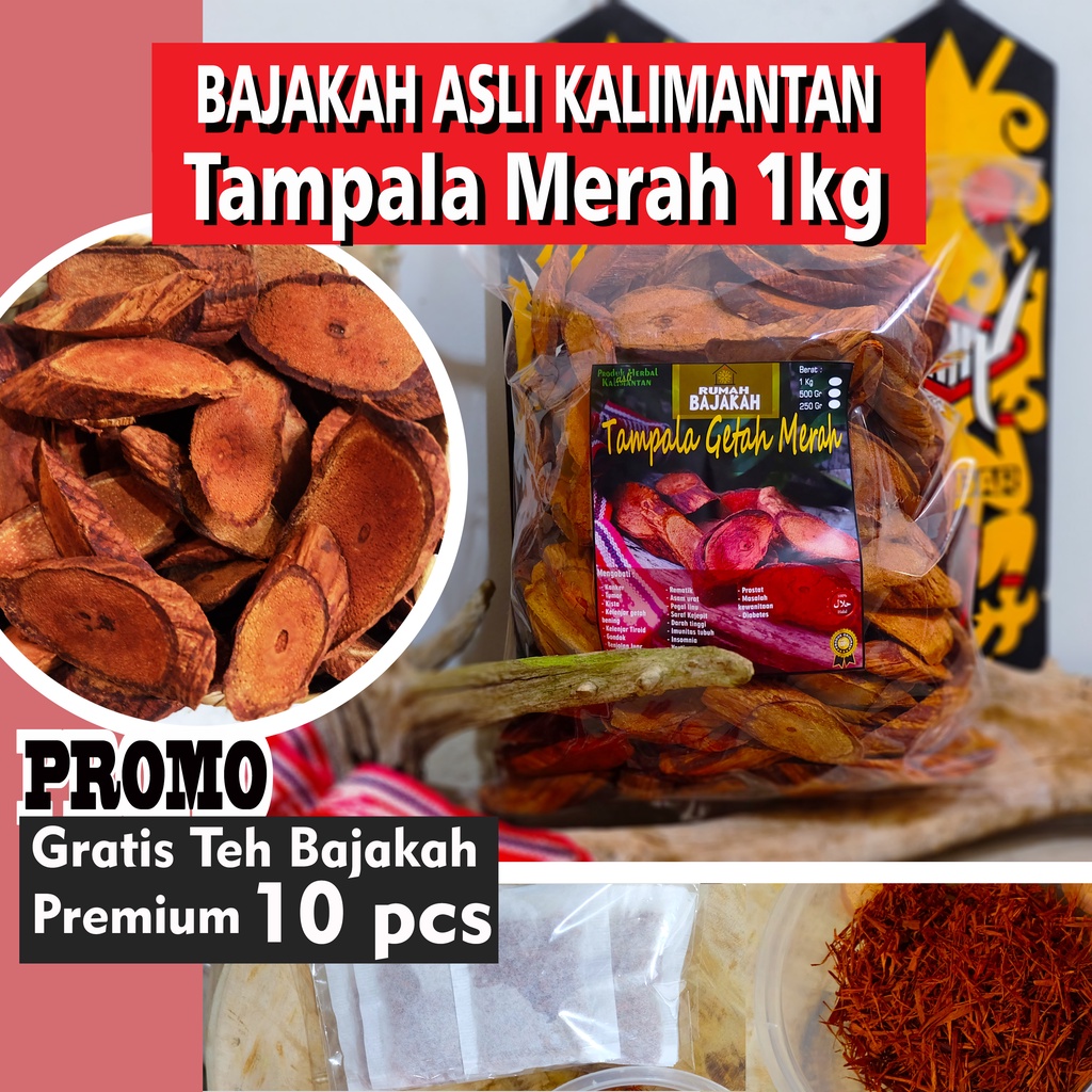 [ASLI] Bajakah TAMPALA merah 1kg + BONUS Teh Bajakah/ Akar Kayu Bajakah Kalimantan
