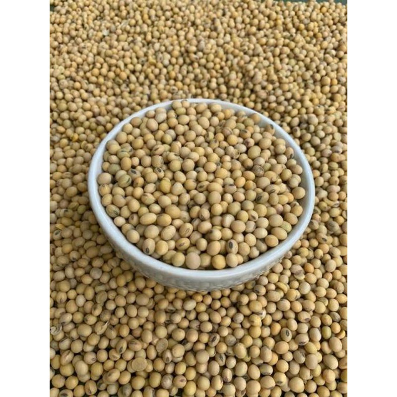 

kacang kedelai import amerika 1 kg