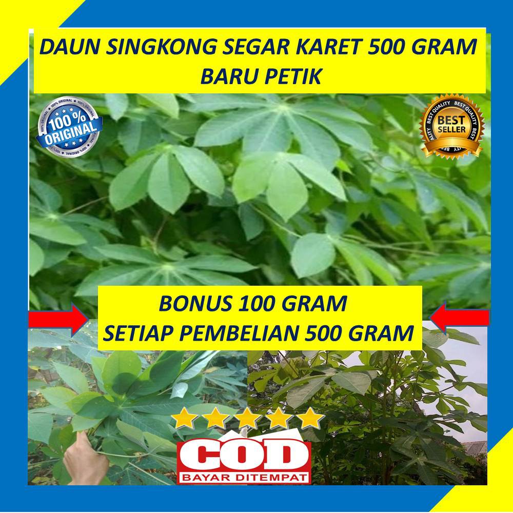 

Daun Singkong Segar Karet 500 Gram