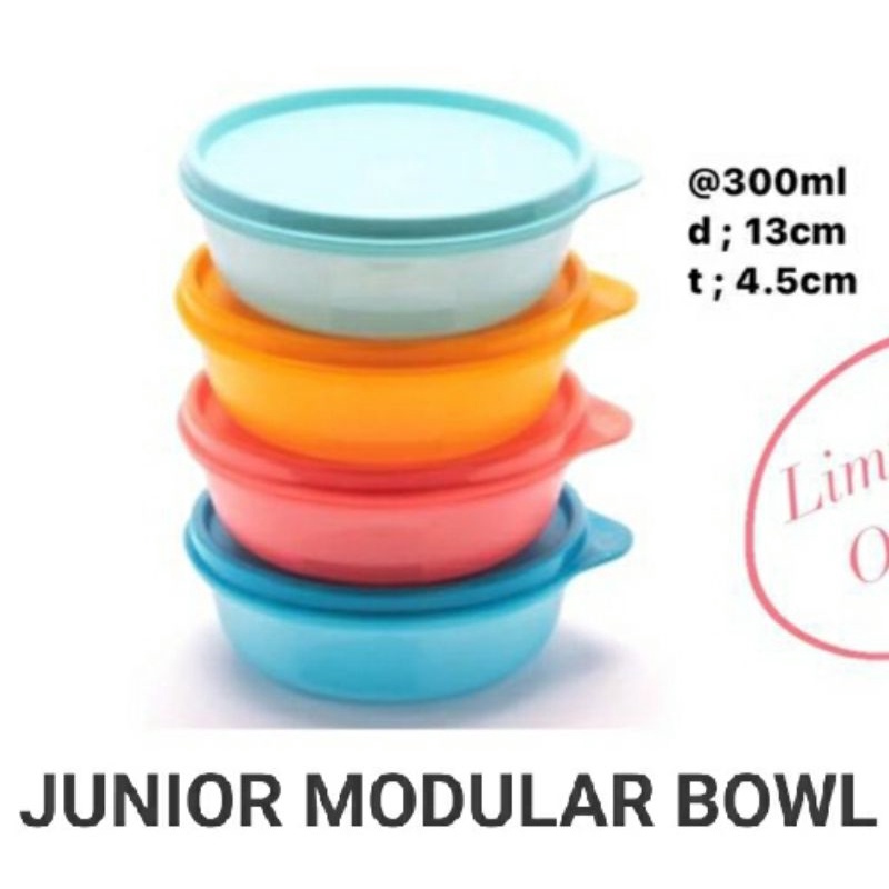JUNIOR MODULAR BOWL SET (1)