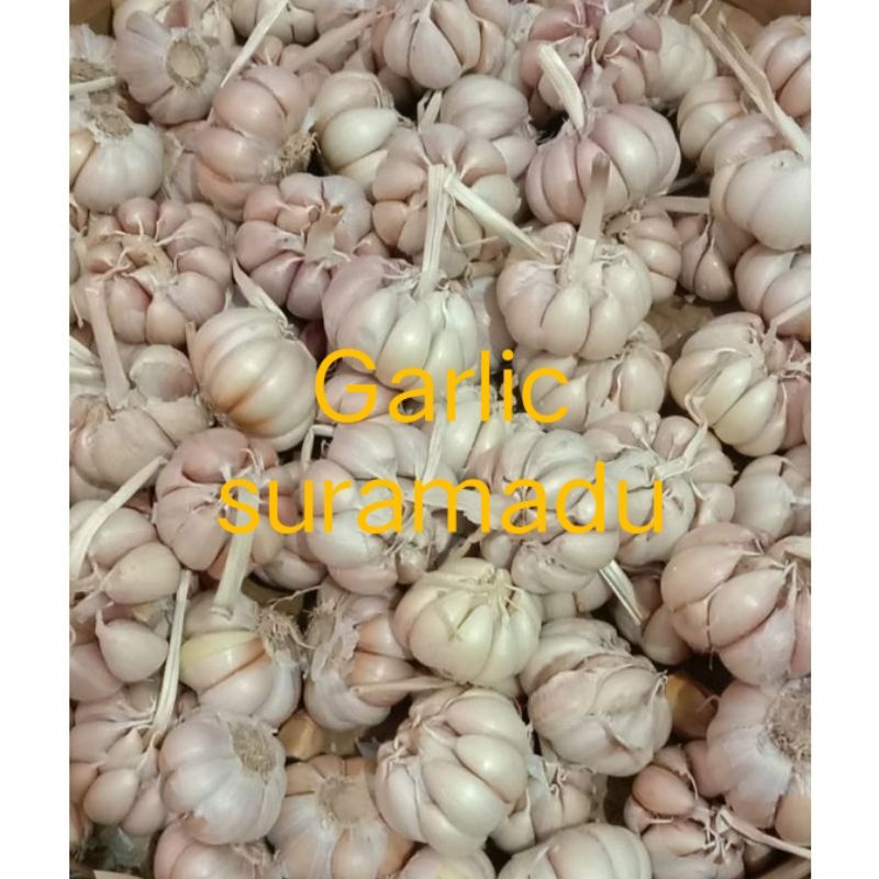 

bawang putih sinco 1kg