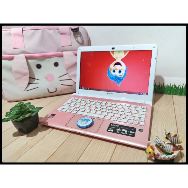 Netbook Sony VAIO E Series RAM 4GB
