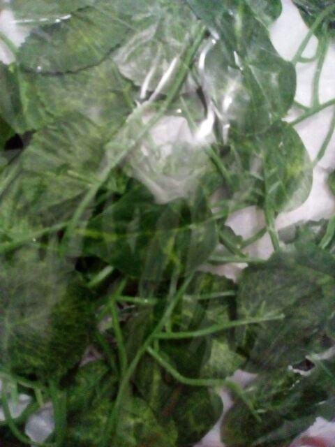 Satuan Rambat Kecil/daun Rambat Plastik/bunga Plastik/rumput Plastik/bunga Plastik/dekorasi Rumah