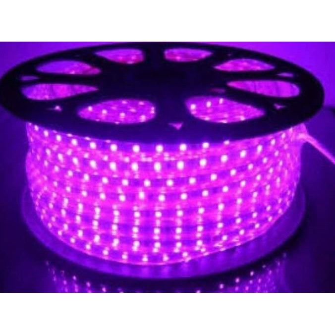 Led Strip Selang 5050 Ac 220V Ungu (100M / 100Meter / 100 M) Outdoor
