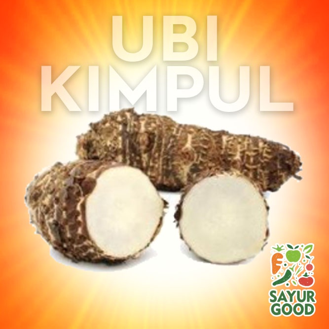 

Kimpul / Ubi Kimpul Segar 1 Kg