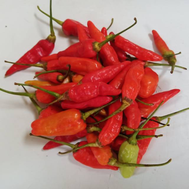 

CABE RAWIT MERAH BERKUALITAS (SIAP KIRIM) 250gr
