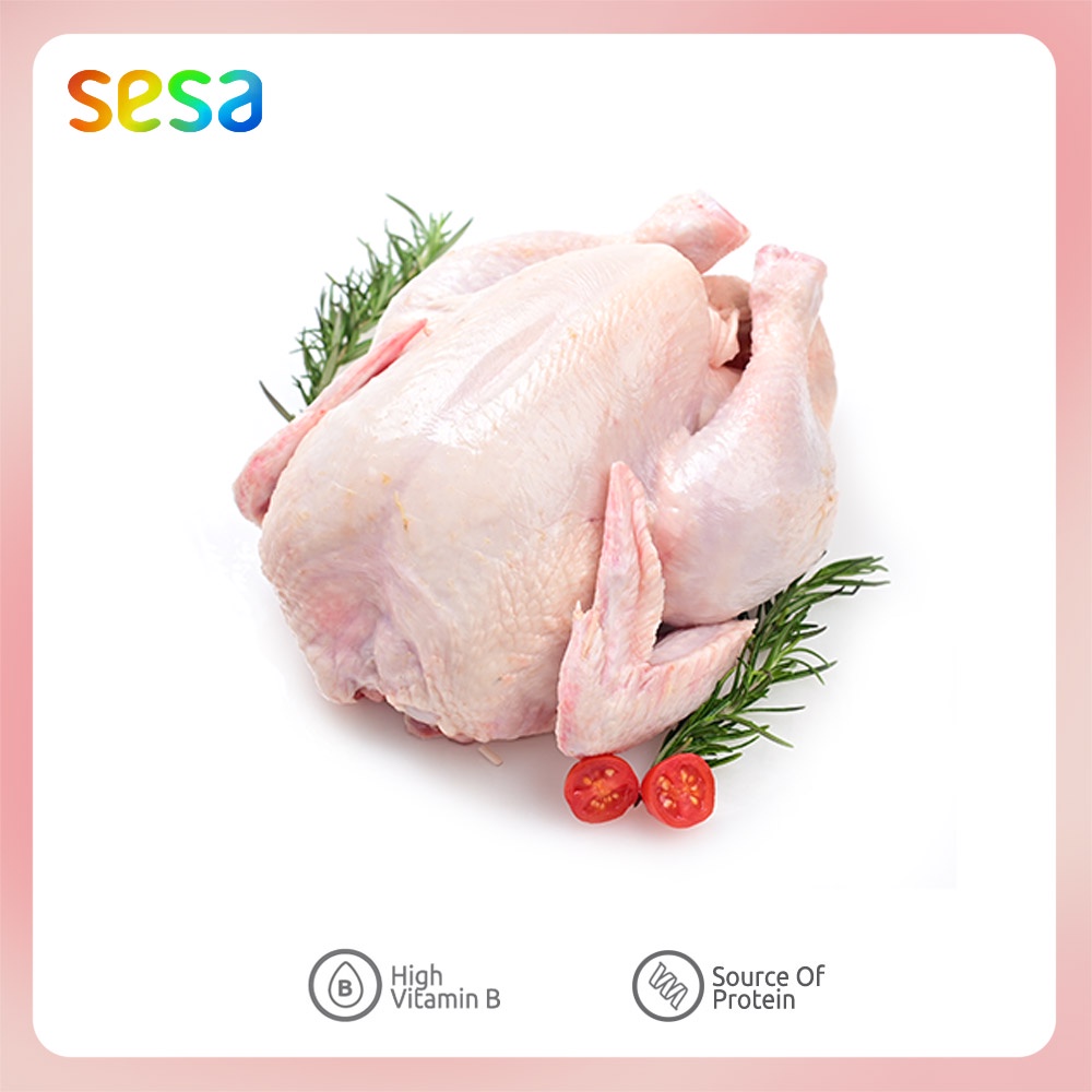 

Ayam Negeri Beku 1.2 - 1.3 Kg