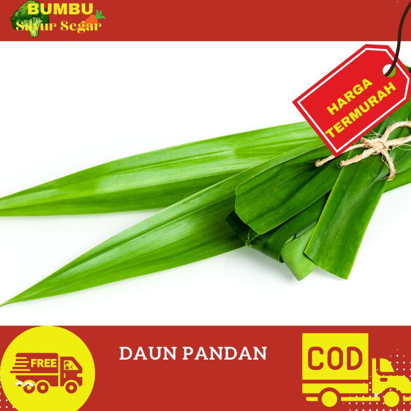 

DAUN PANDAN