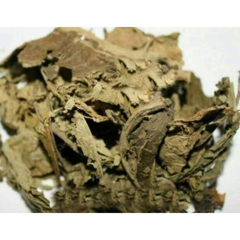 Jual 100 Gram Daun Sembung Blumea Balsamifera Ai Na Xiang Ngai Champora