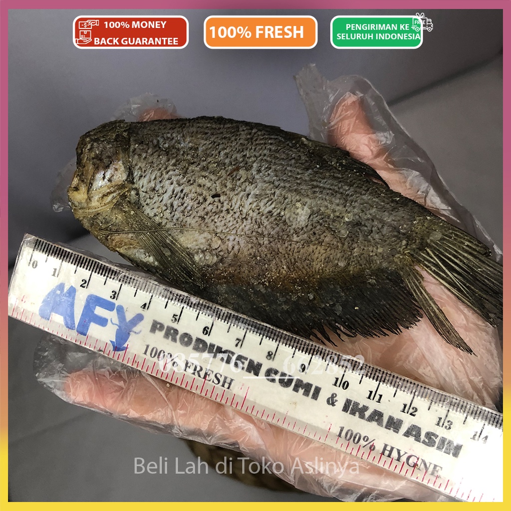 

Ikan asin Tembakang 500Gr 1Kg