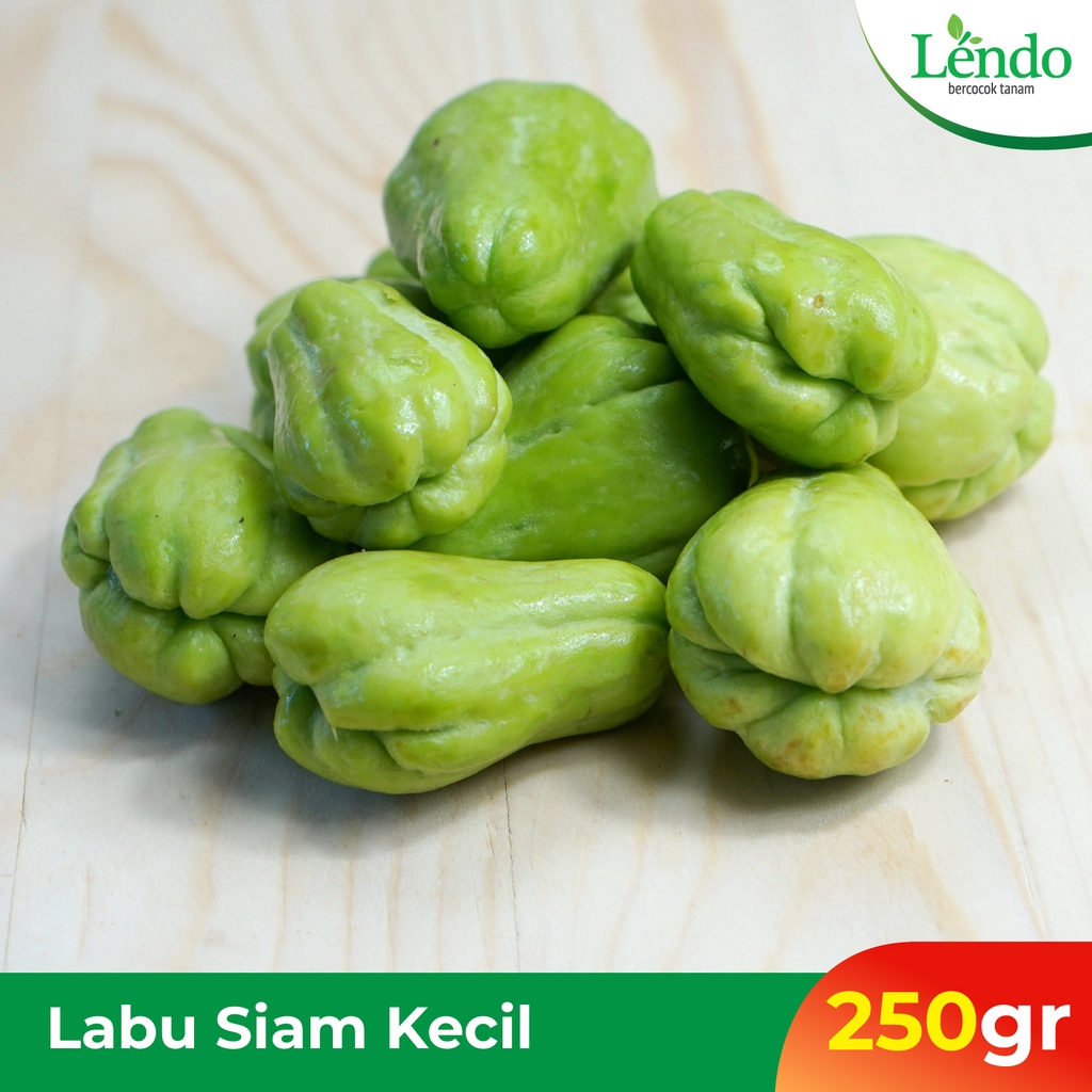 

Labu Siam Kecil