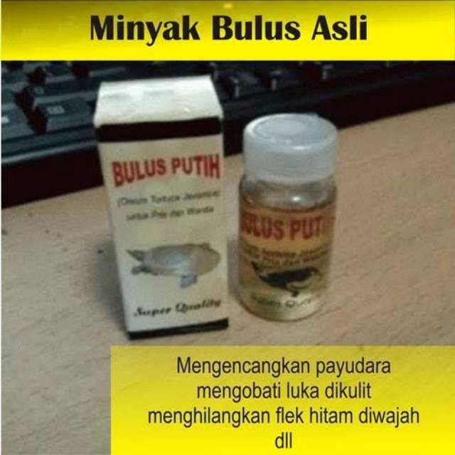 Minyak Bulus Putih original multi fungsi / perawatan tubuh dan kulit pria dan wanita