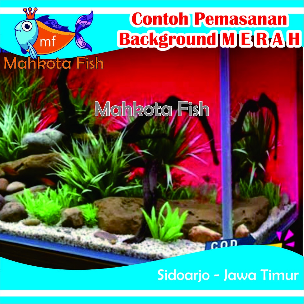 Stiker Aquarium PROMO!! (Extra Lebih Lebar 50cm) | Skotlet Aquarium | Background Aquascape GRATIS PACKING SELONGSONG