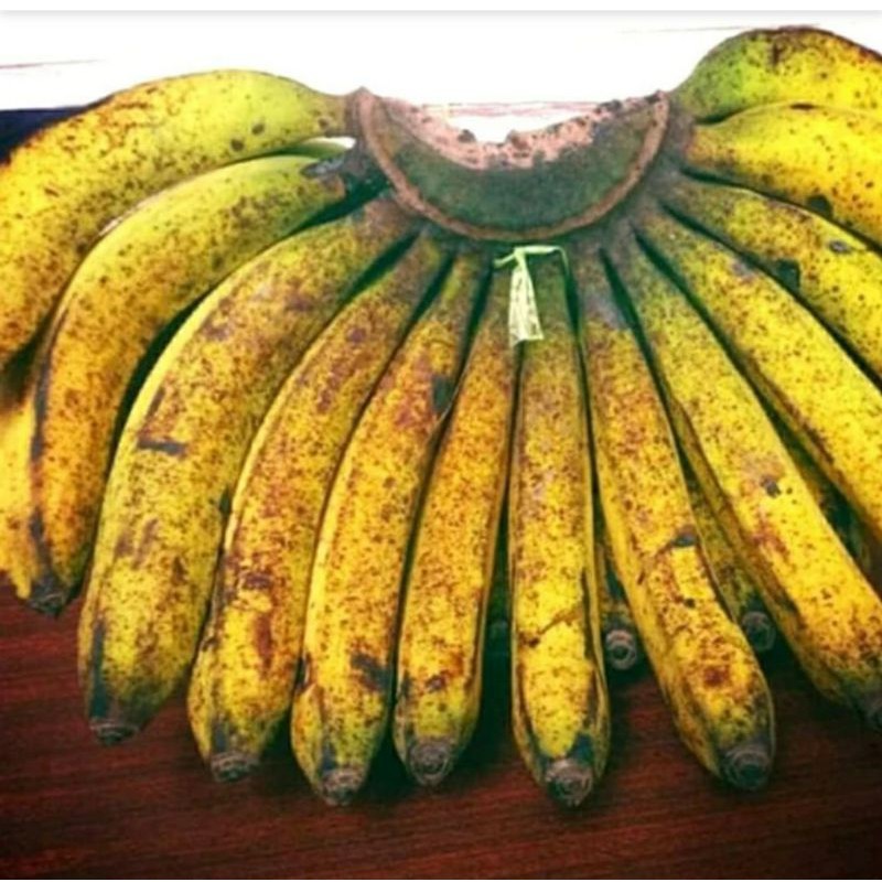 

Pisang Barangan Medan/sisir