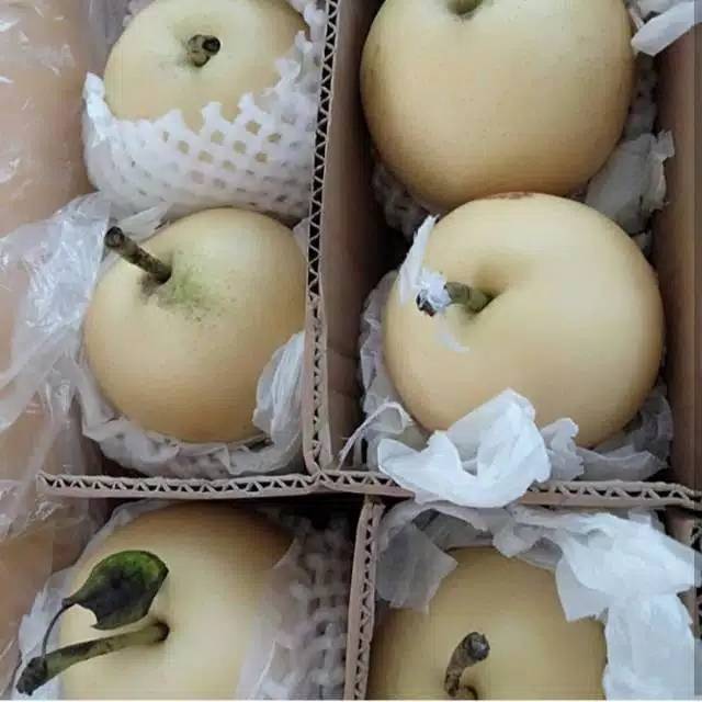

Pear yalie|buah pear|buah segar|buah segar bandung