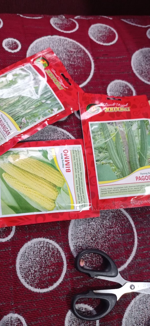 Isi 50 Gram Bibit Jagung Manis Bimmo | Benih Jagung | Biji Jagung Manis | Bibit Unggul