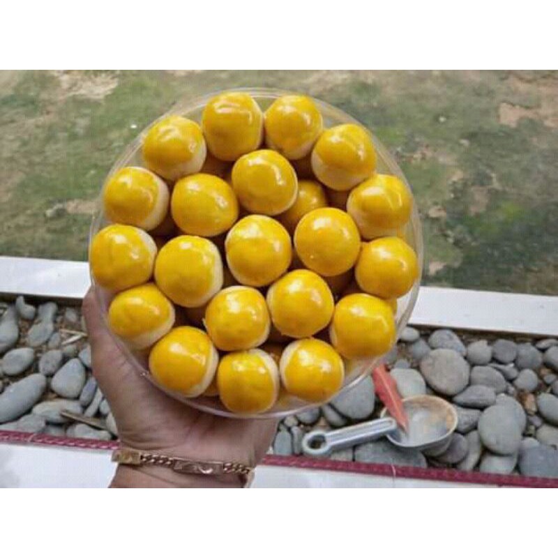

KUE KERING/ NASTAR LUMER / NASTAR NANAS