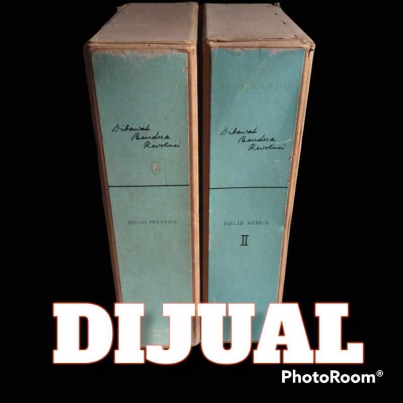 Di Bawah Bendera Revolusi