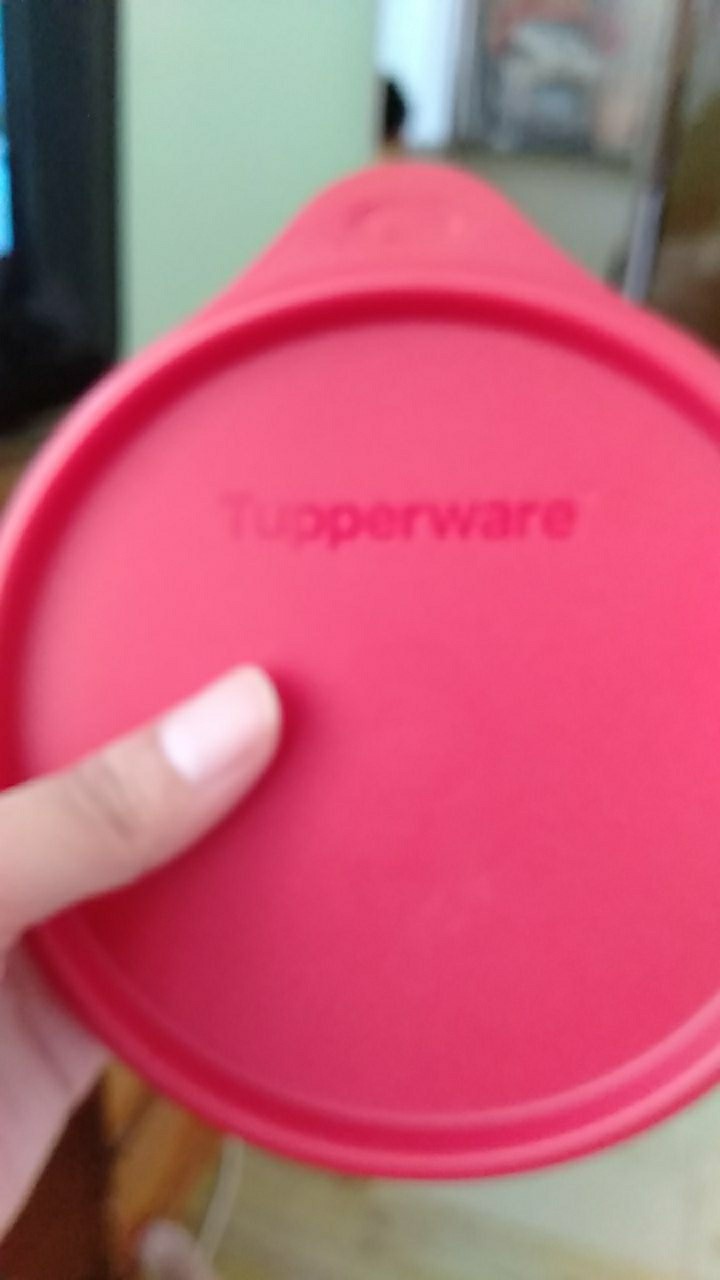 Junior Modular Bowl Set (1 Pcs) Mangkok Tupwr