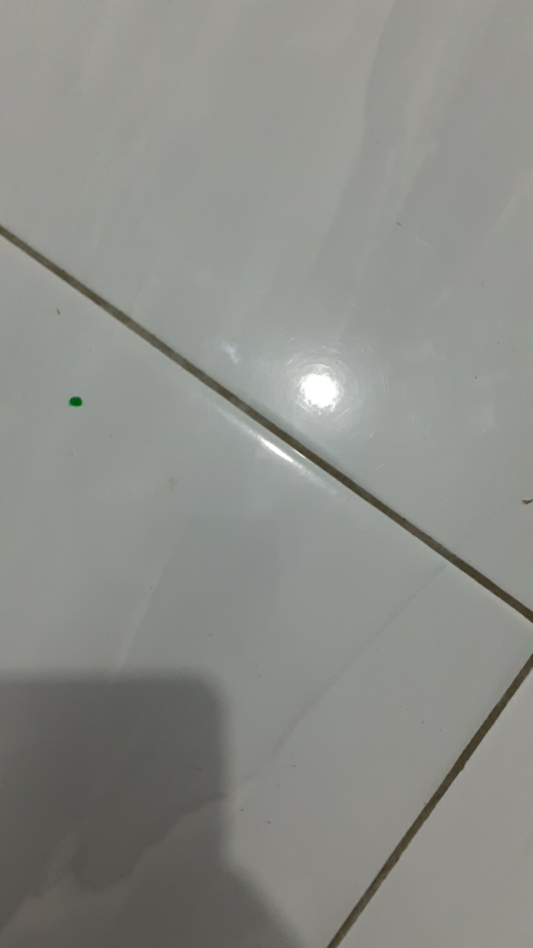 Kotak Makan / Tempat Bekal Manggis