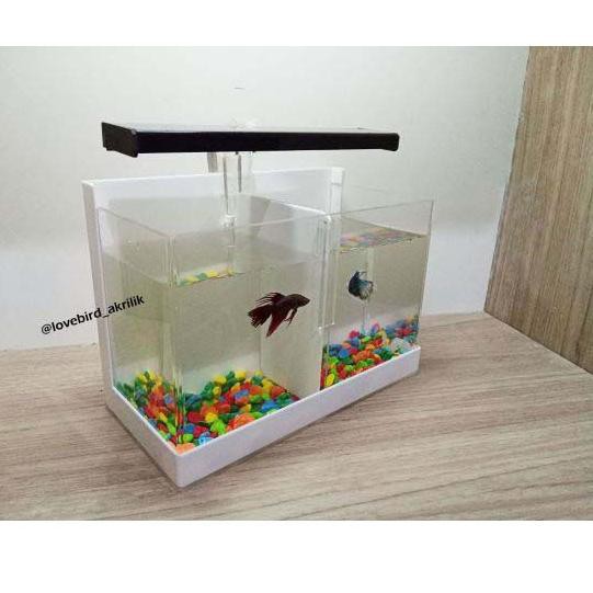 64 Contoh Aquarium Mini Dari Kardus Gratis Terbaru