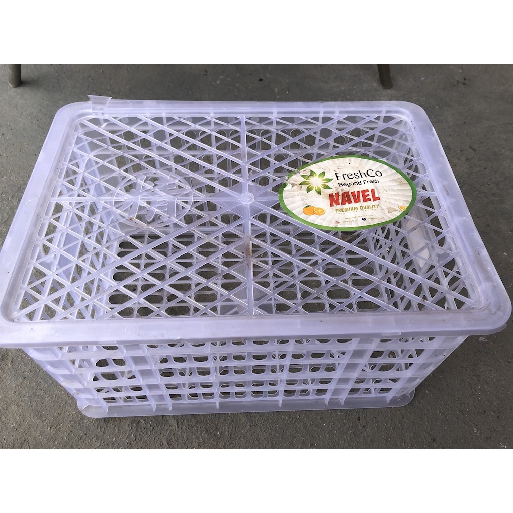 Keranjang Plastik Bekas Buah W06