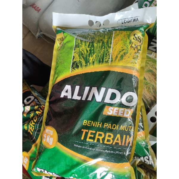 BENIH PADI LOGAWA KEMASAN PREMIUM