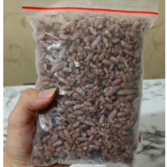 

Baby Cumi Asin Kering Grade A Size 0.5cm-1.5cm