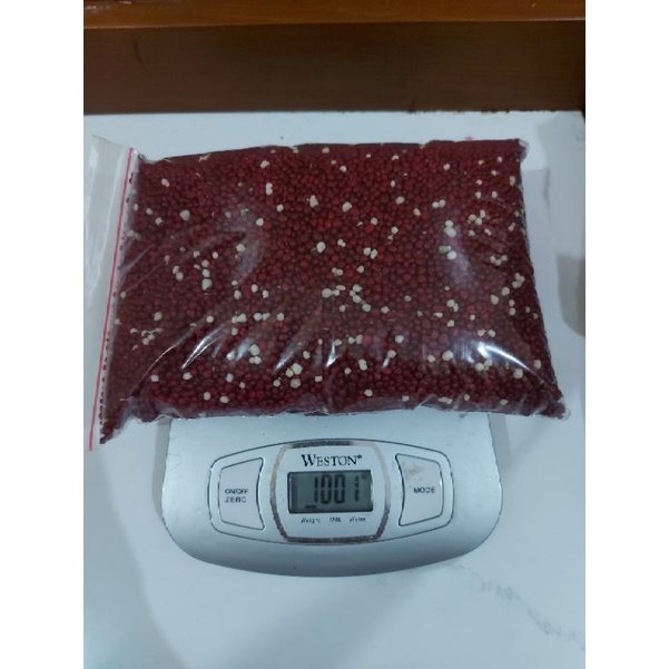 Pupuk Slow Release SK COTE 19-10-13 1KG Pupuk Aglonema