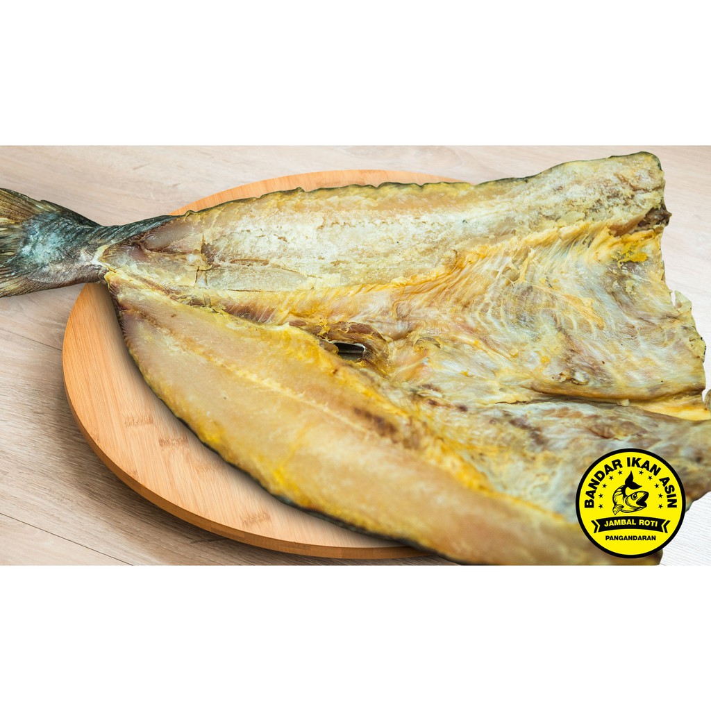 

Ikan asin jambal roti kualitas SUPER ukuran JUMBO 1KG UTUH 1 ekor