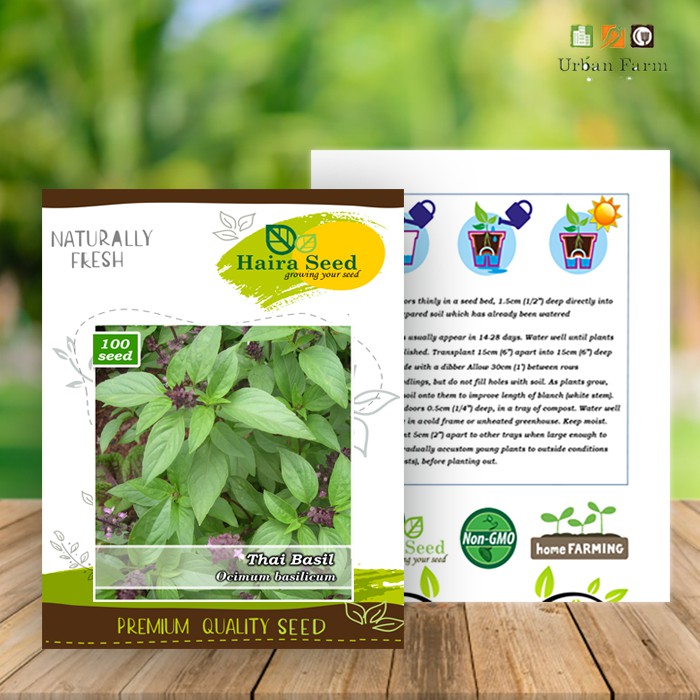 Benih-Bibit Thai Basil (Haira Seed)