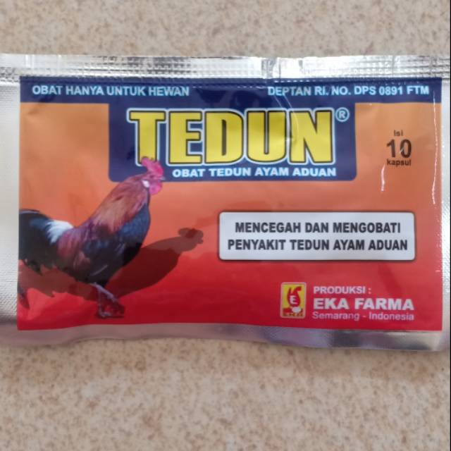 Tedun