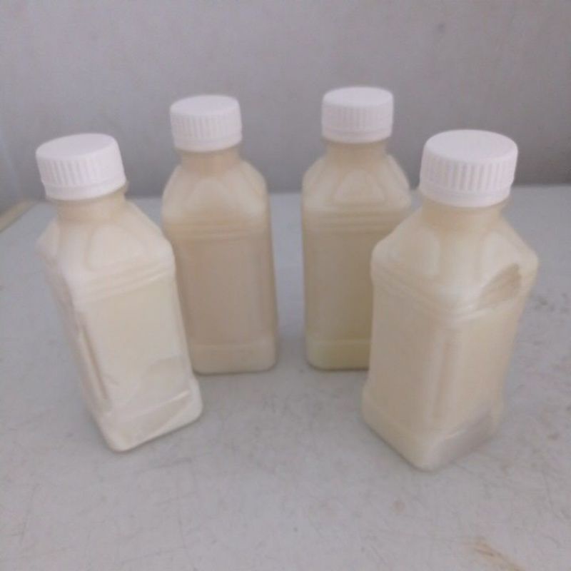 

susu kambing