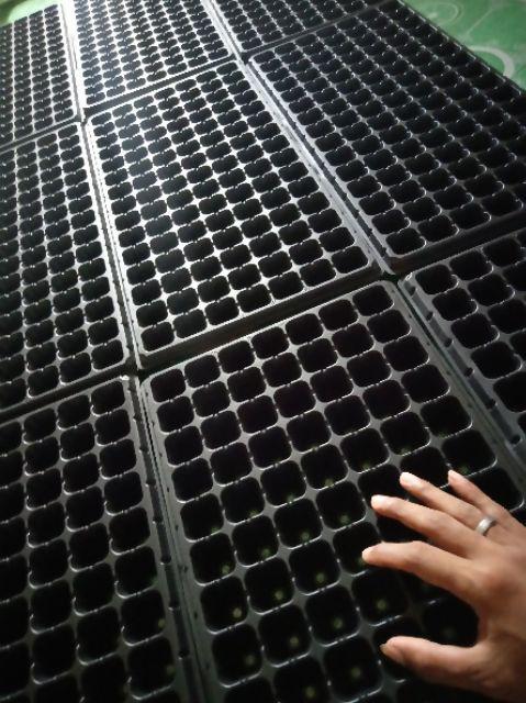 Pot Tray / Tray Semai Tipe 105 Lubang