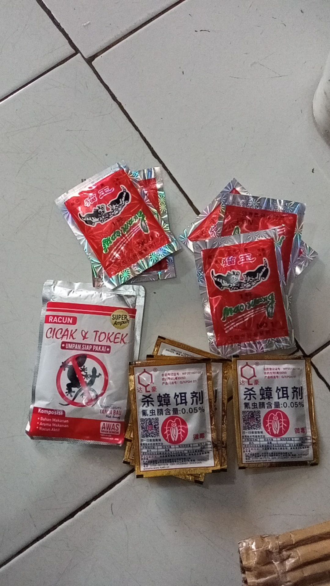 Racun Cicak Dan Tokek, Ampuh Membasmi Cicak Dan Tokek