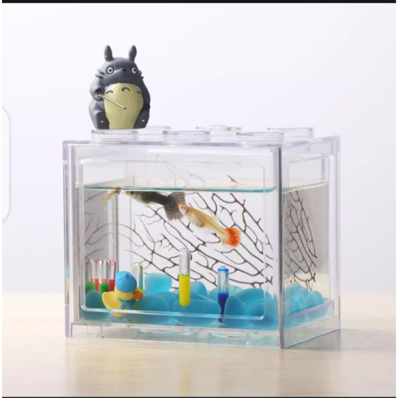AQUARIUM MINI CUPANG / TANK CUPANG MIKA / AQUARIUM GUPPY / AQUASCAPE UNIK