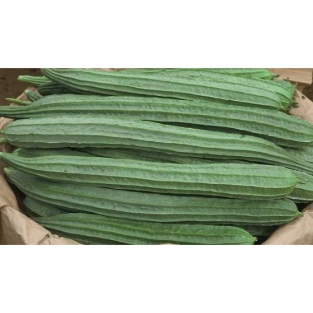 

Oyong Muda 500gr/ Sayur Oyong / Gambas Blutru