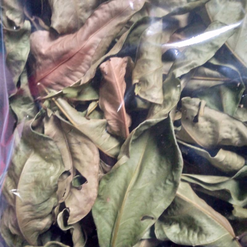 

daun salam kering 25 grm