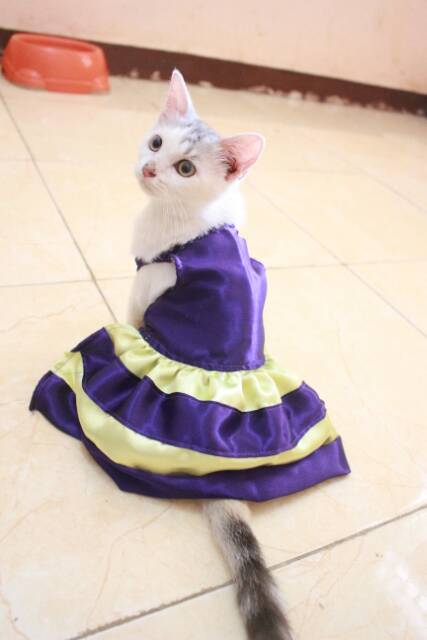 Dress ungu mix krem untuk kucing dan anjing / baju kucing murah terlaris size S-XL