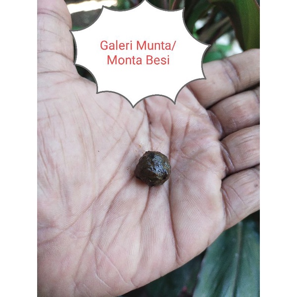 Munta/Monta besi aktif