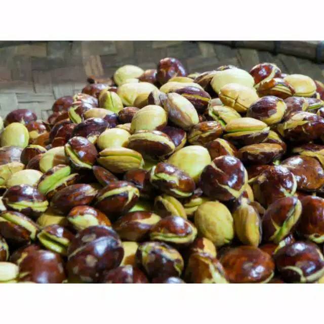 

Jengkol tua 1kg termurah